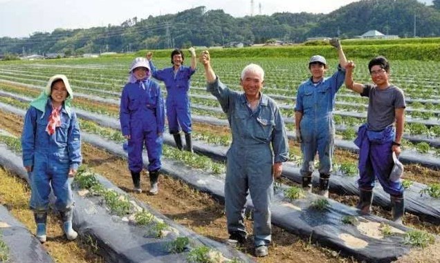 日本勞務(wù)派遣農(nóng)業(yè)類、食品加工、建筑業(yè)、電子業(yè)招聘